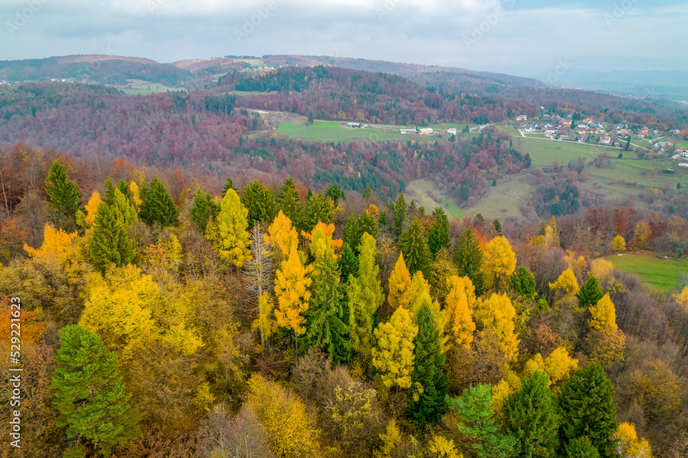 AERIAL: Picturesque view of colorful forest trees above valley in autumn season