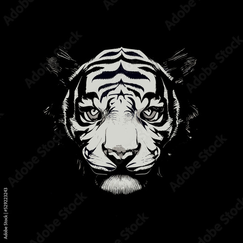 Angry white tiger illustration vector. Graphic design of a beast. Vectorized shapes of predator. Powerful logo. Strong icon. Carnivor lurking in the shadows.