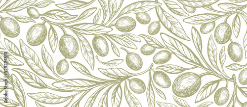 Oliva, green fruit, vintage pattern. Vector branch