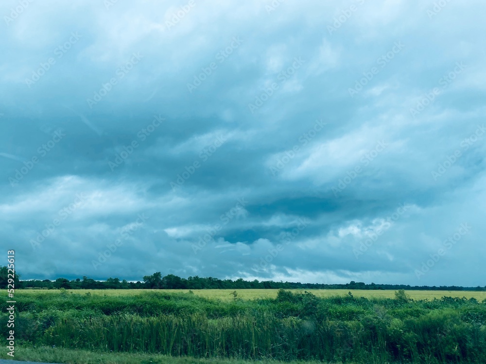 clouds over the field