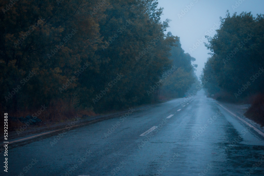 carretera larga y recta despejada sin autos mojada por la lluvia en día nublado de invierno con árboles a los costados con una neblina en el camino