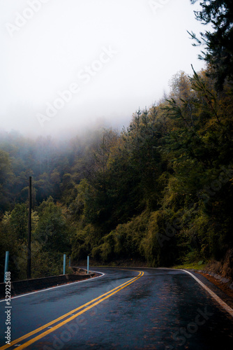 Panorámica vertical de la carretera en una montaña con bosque y árboles por encima con niebla en la ladera bajando a la calle en época de otoño e invierno