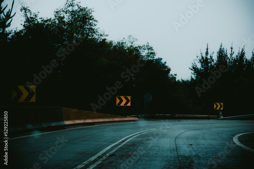 Calle o carretera en curva mojada por la lluvia con arboles oscuros en día nublado