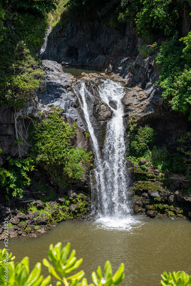 waterfall in the jungle waterfall in the jungle