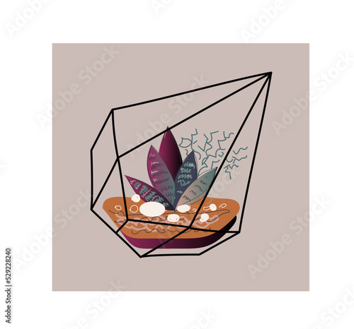Modern glass geometric terrarium with succulents and cactus.  japanese decoration, home gardening. Vector doodle illustration.