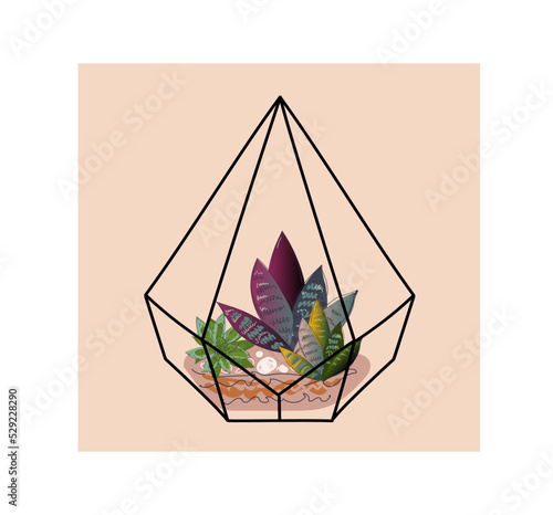 Modern glass florarium, geometric terrarium with succulents and cactus.  japanese decoration, home gardening. Vector doodle illustration.
