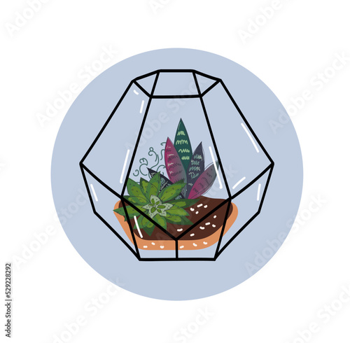 Modern glass florarium, geometric terrarium with succulents and cactus.  japanese decoration, home gardening. Vector doodle illustration