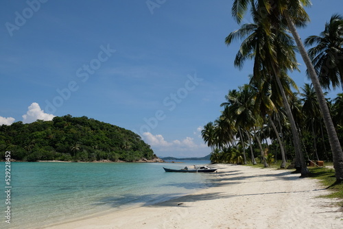 Fototapeta Naklejka Na Ścianę i Meble -  Indonesia Anambas Islands - Idyllic beach with huge palm trees