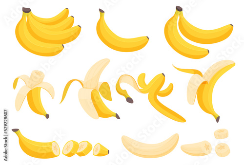 Set of bananas. Tropical yellow fruits. Peeled, cut, banana peel. Vector illustration
