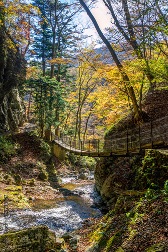 那須塩原の紅葉