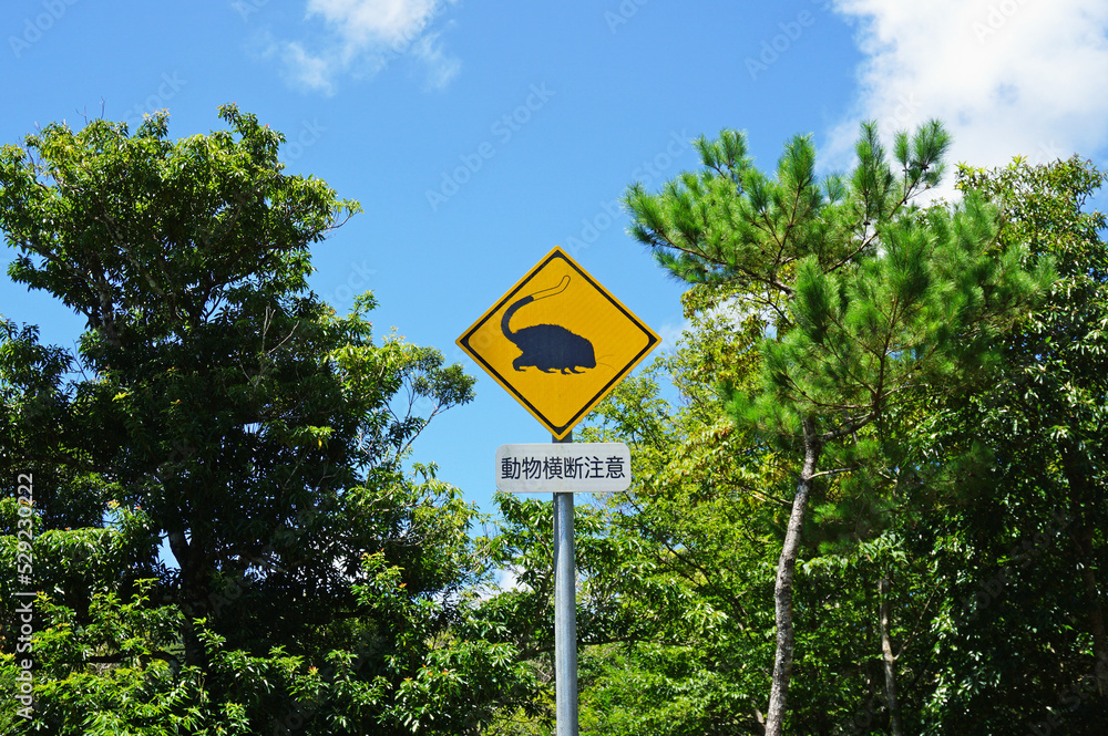 World Heritage Amami Oshima Ryukyu Rat Road Sign, Uken Village, Oshima District, Kagoshima Prefecture, Japan