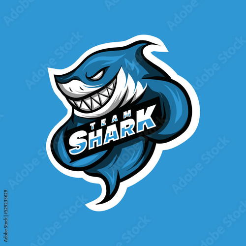 shark logo mascot Design vector graphic