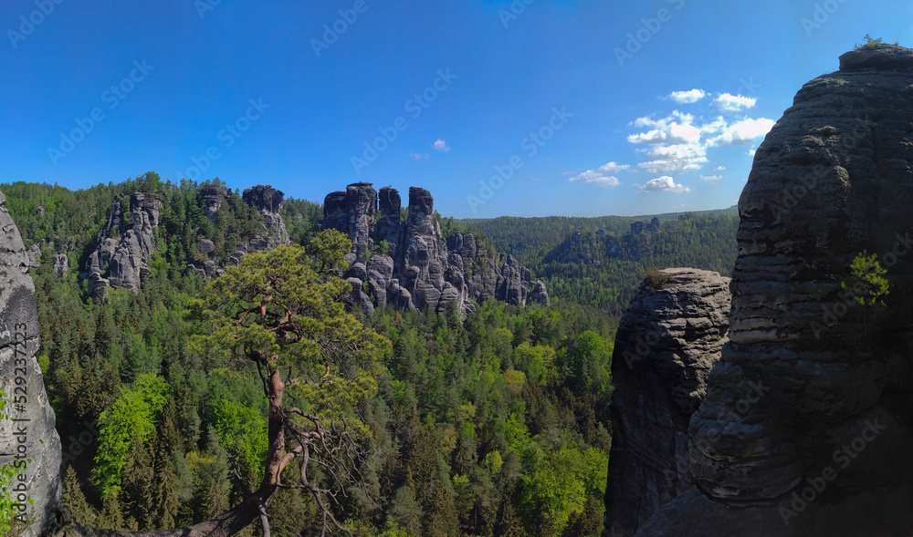 Naklejka premium panoramic view of national park Saxon Switzerland, near Rathen village. Germany. Europe