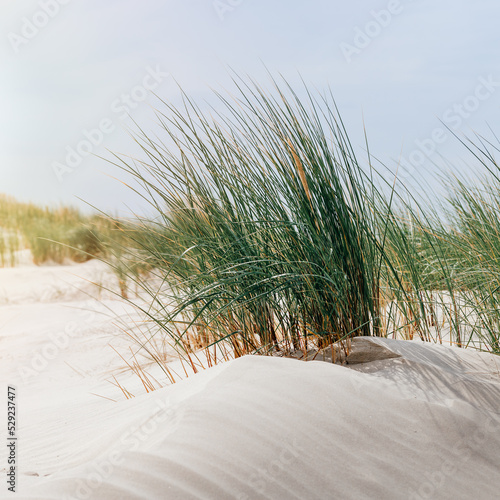 Billede på lærred sand dunes on the beach
