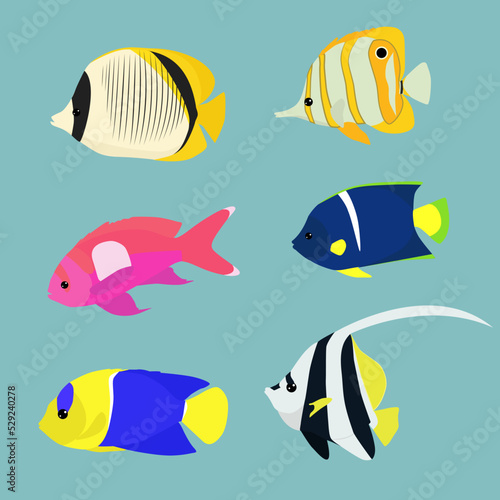 set of fish