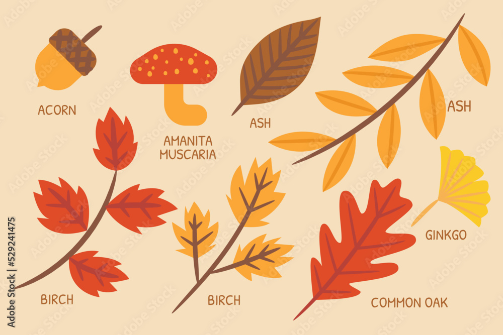 Autumn illustration for website, application, printing, document, poster design, etc.