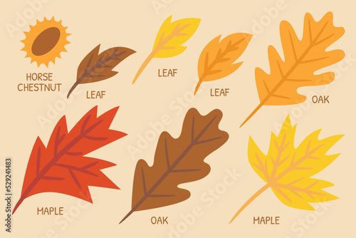 Autumn illustration for website  application  printing  document  poster design  etc.