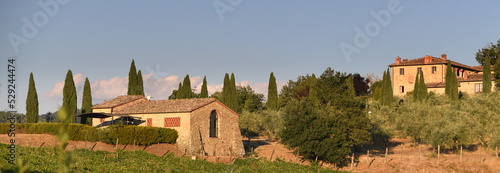 Steinhäuser in Landschaft mit Zypressen und blauem Himmel
