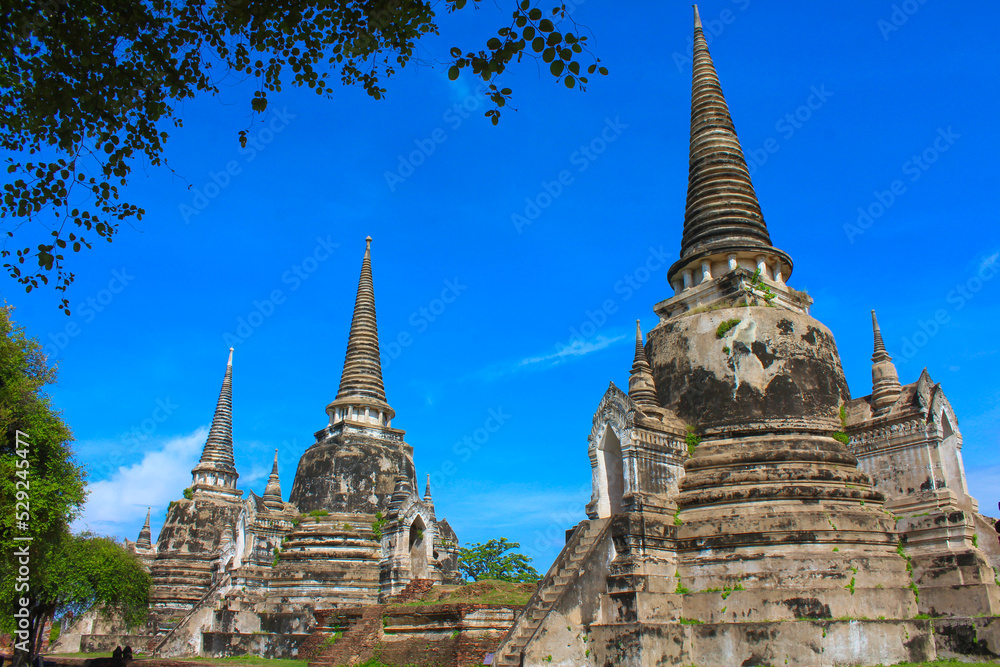 Fototapeta premium The Ayutthaya Historical Park, Thailand