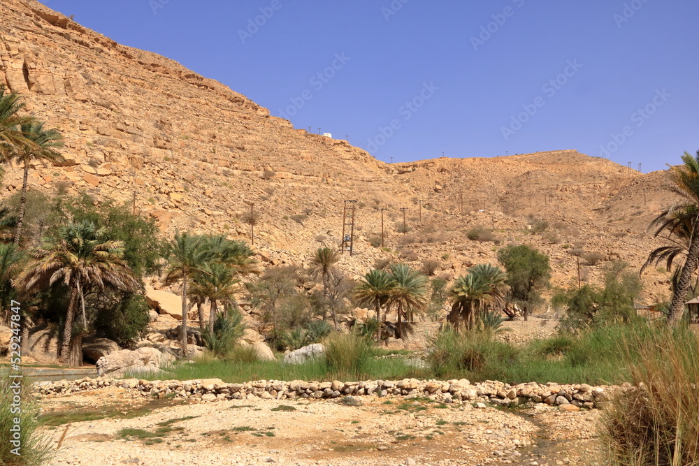 the spectacular nature of Wadi Bani Khalid, Oman