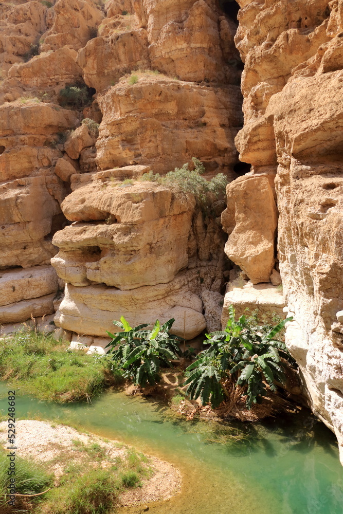 Wadi Shab, Tiwi, Oman: the beautiful scenic canyon near Muscat Wadi Shab, Tiwi, Oman: the beautiful scenic canyon near Muscat