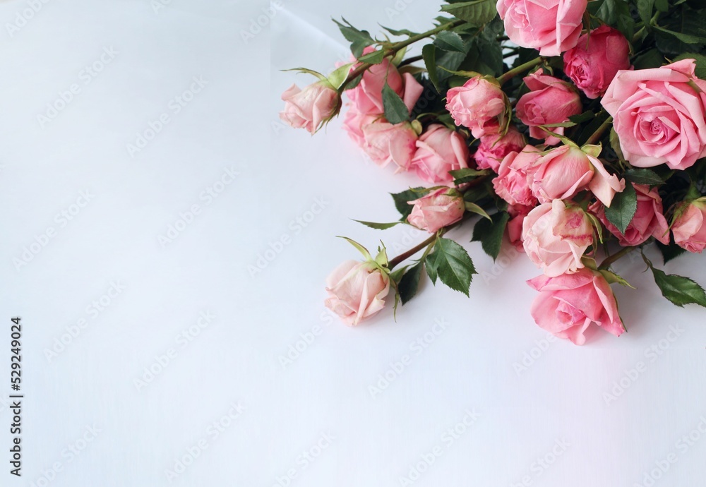 Bouquet of pink roses on a white background. Festive flower arrangement. Background for a greeting card. Bouquet of pink roses on a white background. Festive flower arrangement. Background for a greeting card.