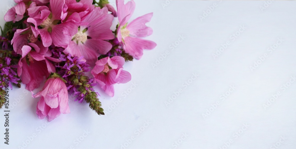 Bouquet of pink flowers on a white background. Festive flower arrangement. Background for a greeting card.