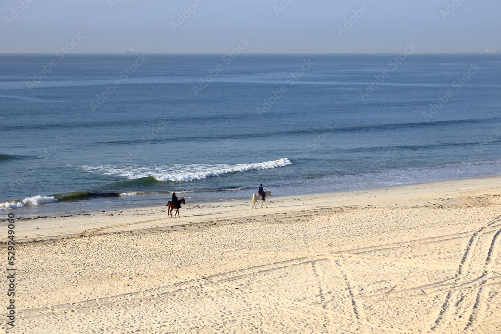sandy beach and horses in oman, arabic sea in salalah