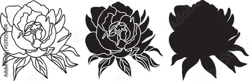Peonies SVG outline. Hand drawn Peonies Florals Silhouette. One line Peony flowers iilustration. Vector Peonies isolated iluustration.