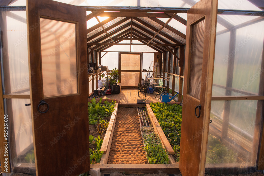 A wood green house A wood green house