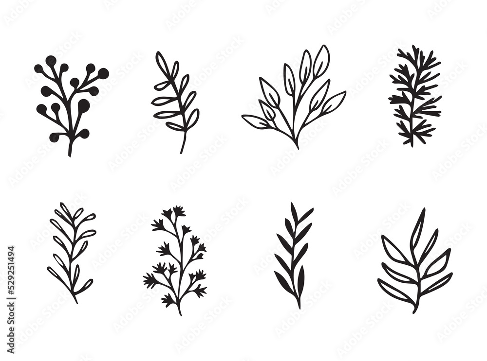 Set of vector black and white plants Set of vector black and white plants