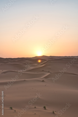 Dunes in the Sahara desert at sunrise, the desert near the town of Merzouga, a beautiful African landscape