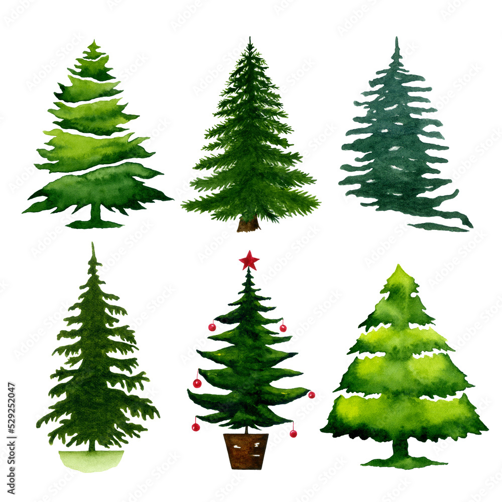 Watercolor christmas trees set. Hand drawn evergreen tress illustration isolated on white background.