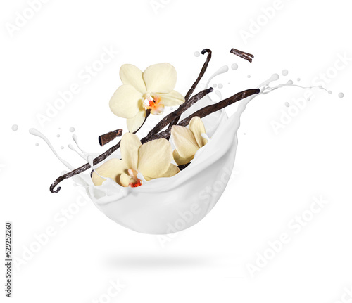 Fotografie Dried vanilla sticks with flower in milk splashes on a white background