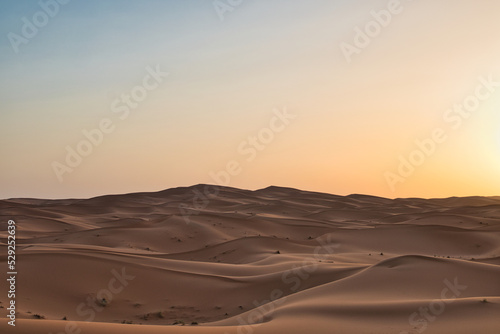 Fototapeta Naklejka Na Ścianę i Meble -  Dunes in the Sahara desert at sunrise, the desert near the town of Merzouga, a beautiful African landscape