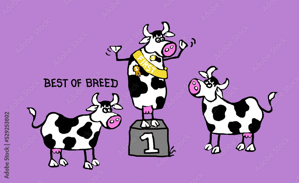 Best of breed - cows on podium fun illustration