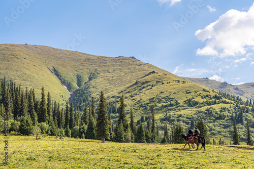 forest & grassland scenery in Xinjiang China