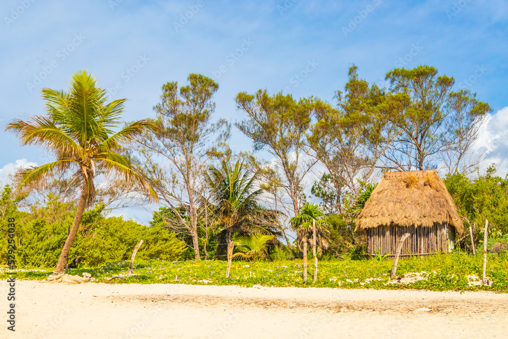 Tropical natural beach palm tree hut Playa del Carmen Mexico.