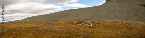 Panorama of Thule site on Caswell Tower, Nunavut, Canada photo