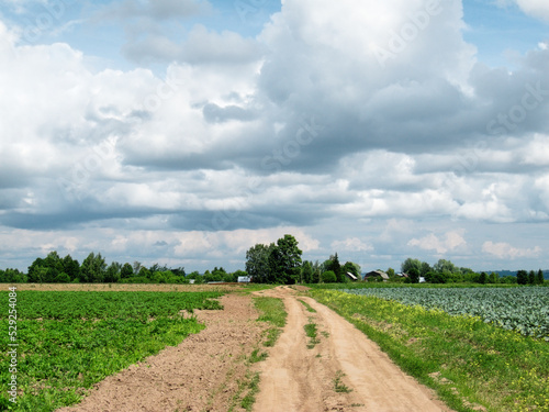 A dirt road leading to a Hill Mari village in central Russia on a summer day with clouds in the sky.