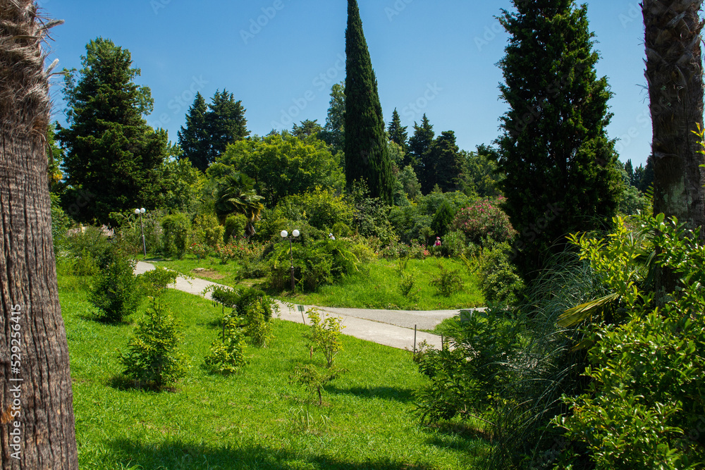 beautiful views of the summer park beautiful views of the summer park