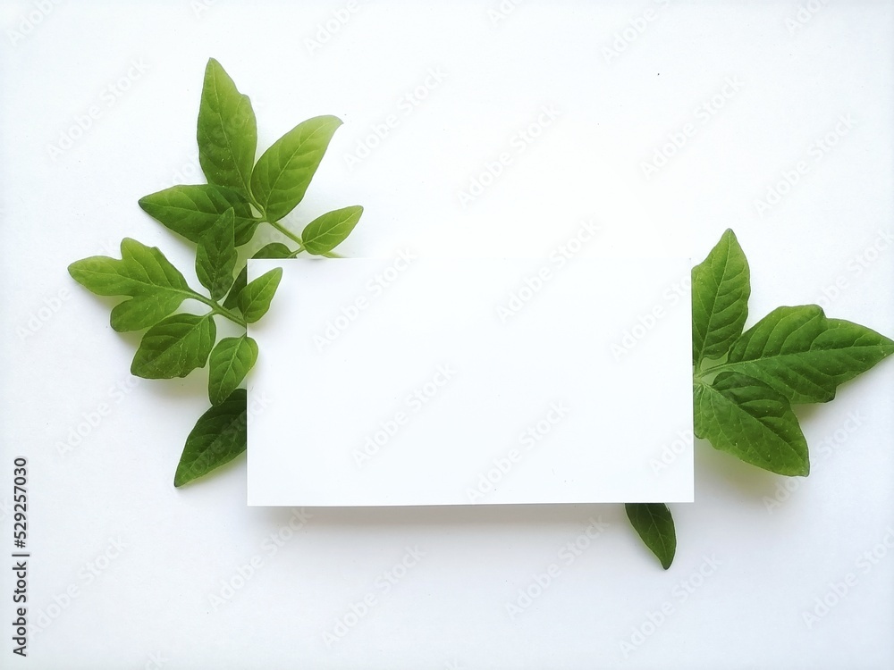 clean paper with greenery 