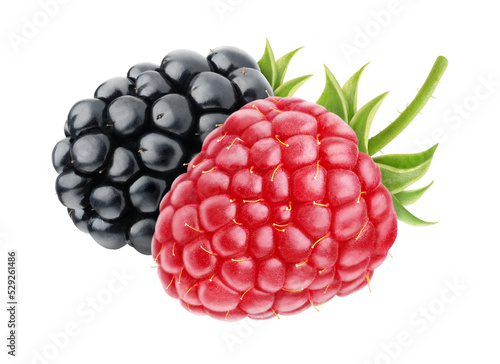 Raspberry and blackberry cut out