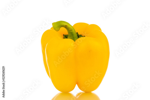 One sweet pepper of bright yellow color, macro, isolated on white background.