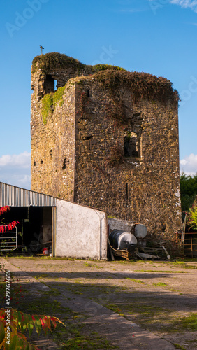 Grange Castle remains in Co.Tipperary photo