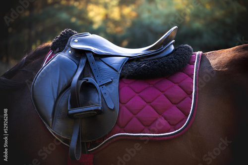 Horse saddle. Recreational horse riding, hobby. Black leather saddle on the horse's back at sunset in the evening