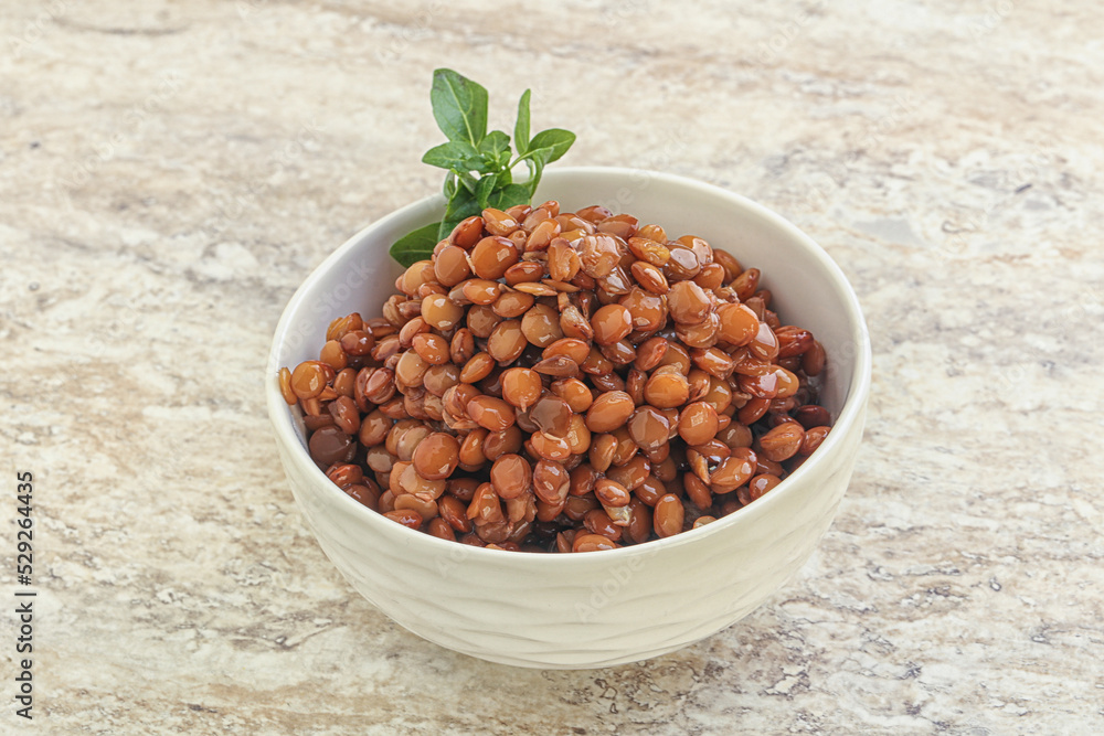 Boiled lentil in the bowl Boiled lentil in the bowl