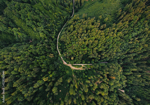 Wide angle aerial photo by drone (top view) of amazing green forest with curved road (way). Colorful and saturated image of path in nature from above.
