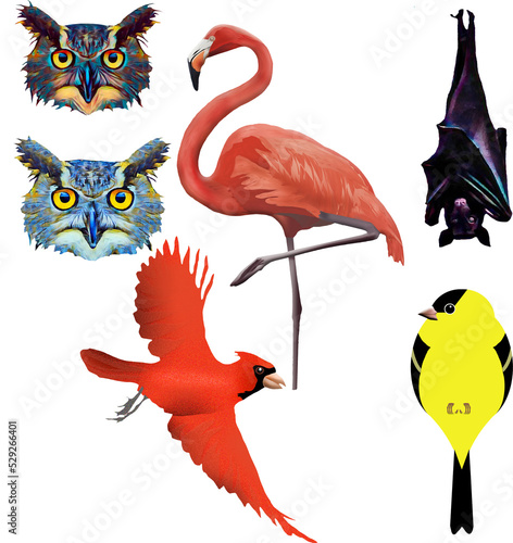 Great horned ows, flamingo, fruit bat, cardinal and golfinch bird are seen as 3-d illustations to be used as a graphic resource. photo