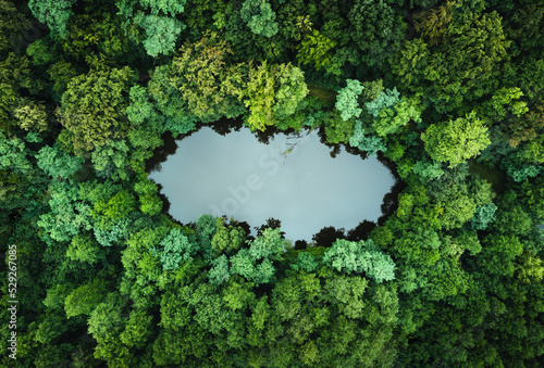 Top view - photo by drone (UAV) of the beautiful and tranquil lake with reflection in water. photo from above the peaceful forest pond with trees surrounding.
